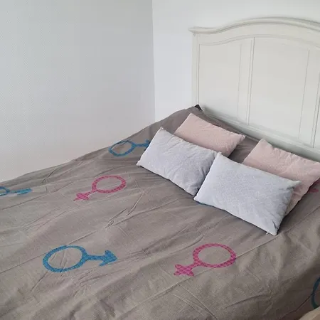 Maisonnette Avec Jardin Centre * Reims