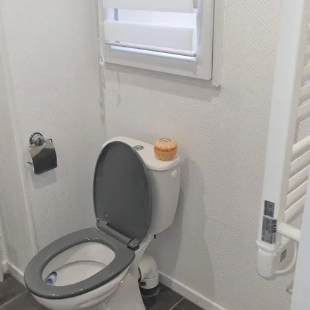 Maisonnette Avec Jardin Centre Appartement *