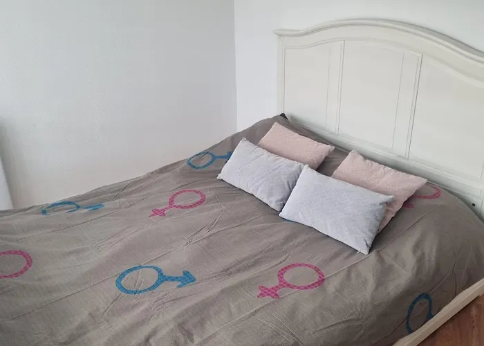 Maisonnette Avec Jardin Centre * Reims